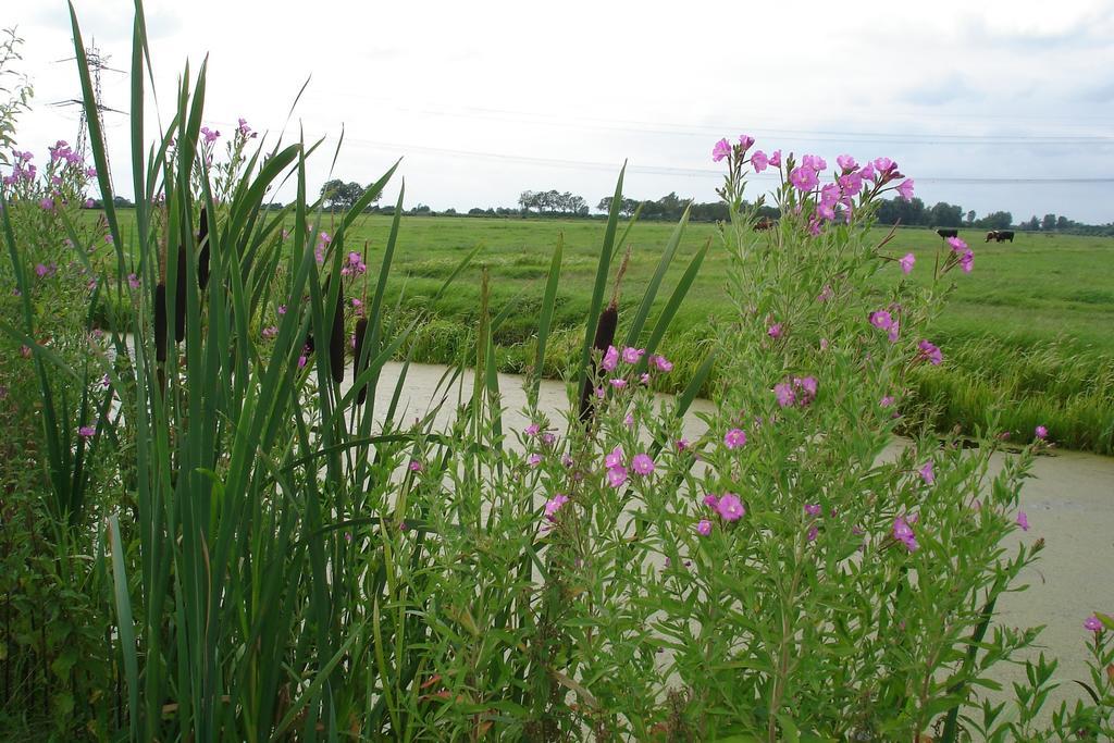 Hotel Boerderij Hazenveld Kockengen